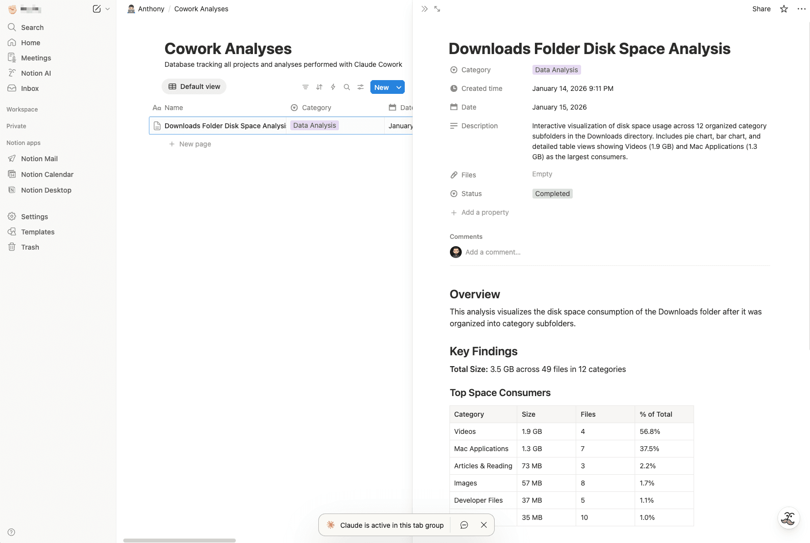 Notion analysis entry