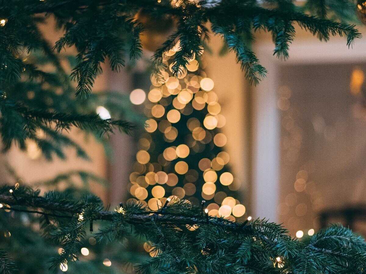 This December, Improve Your Coding Daily with Advent of Code